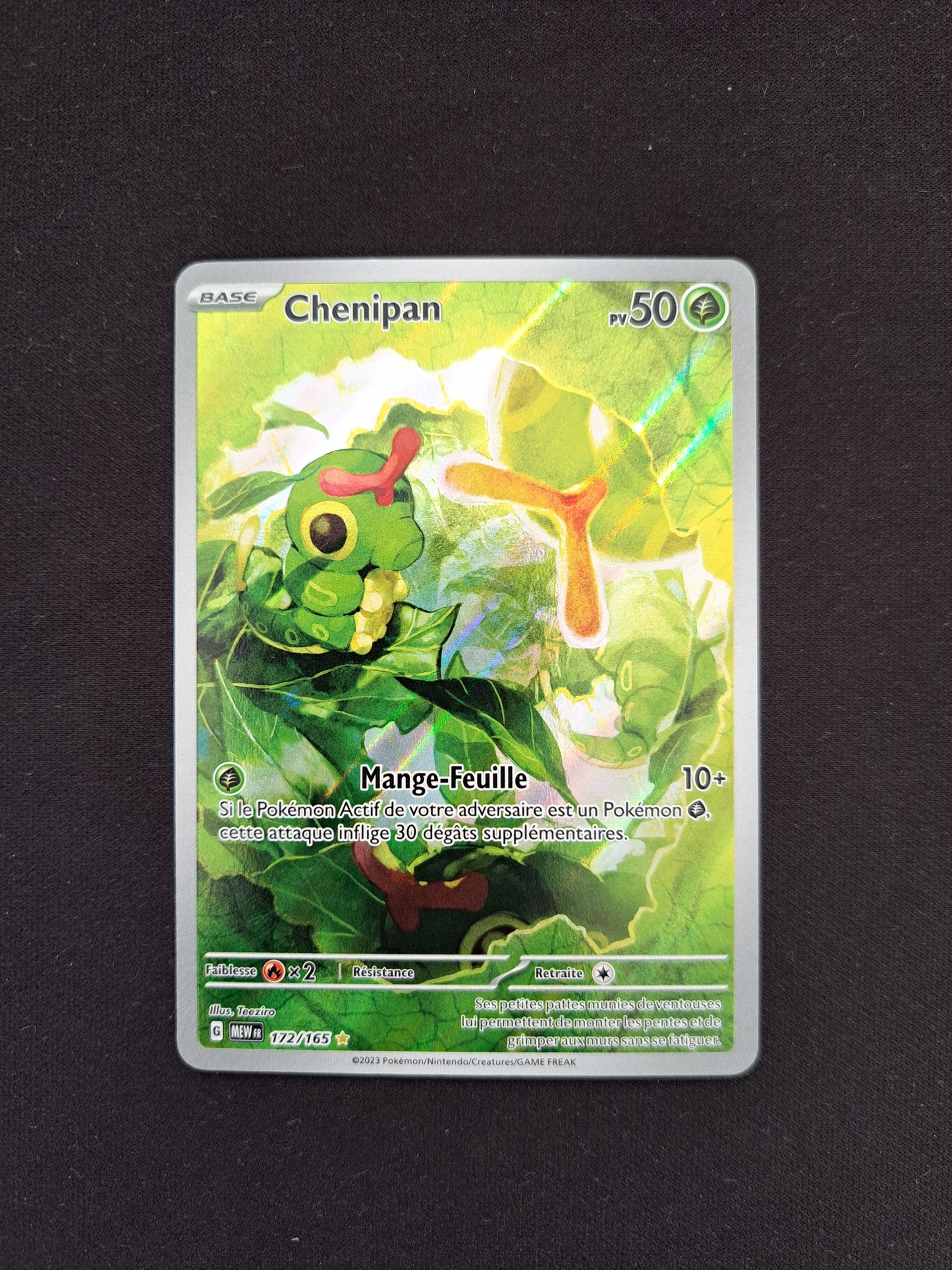 Chenipan 172/165