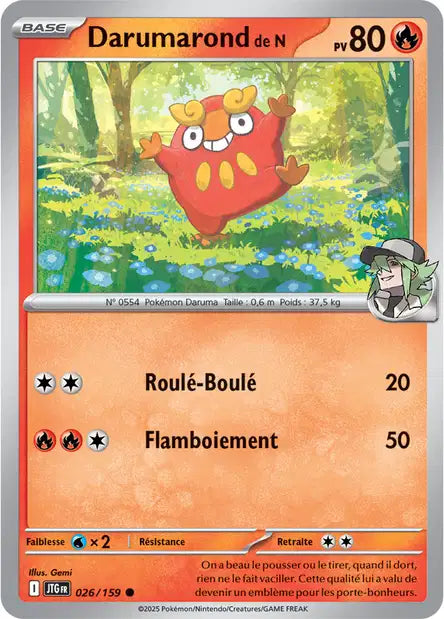 Darumarond de N 26/159