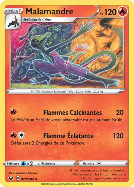 Malamandre 28/202