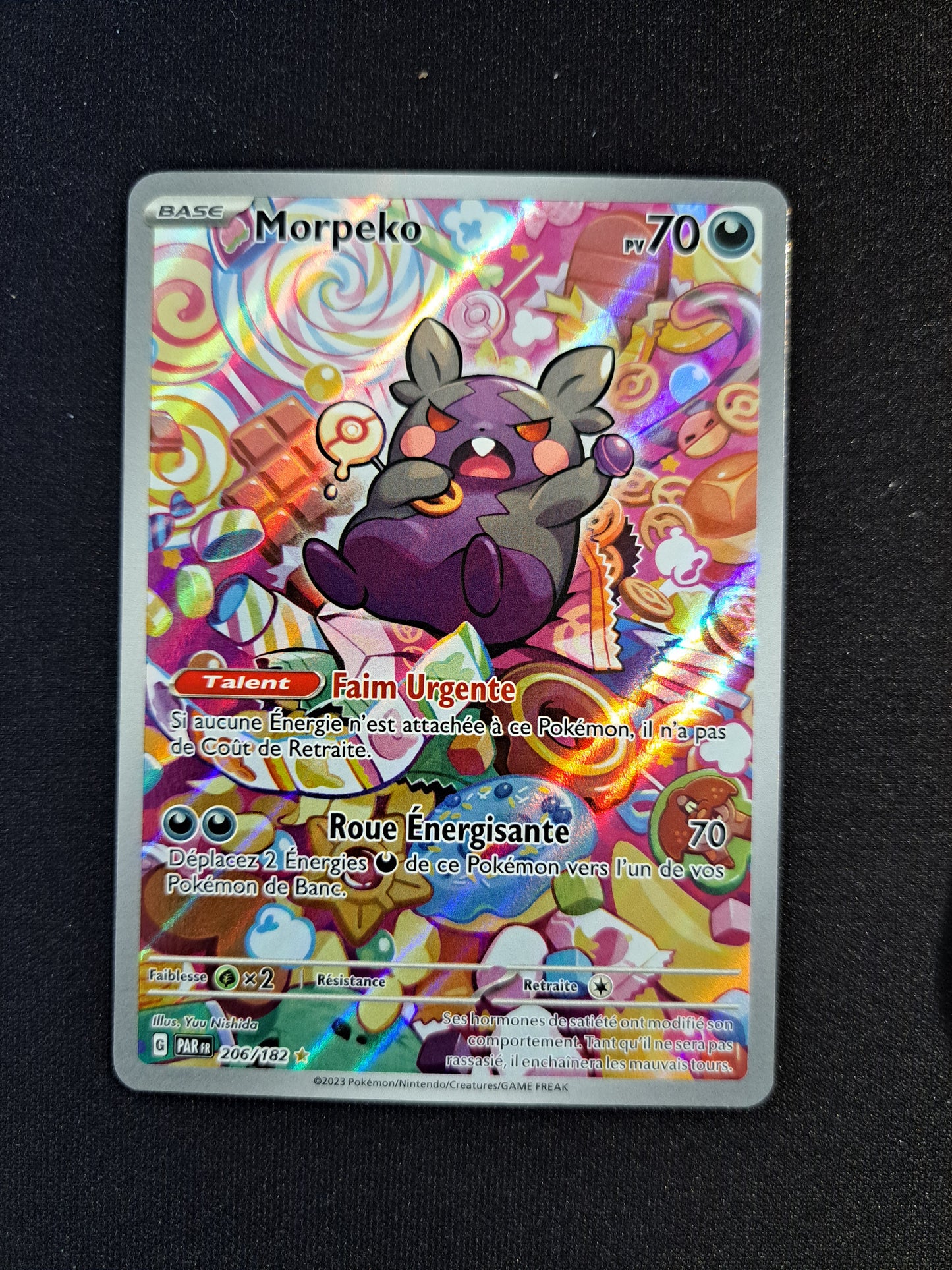 Morpeko 206/182