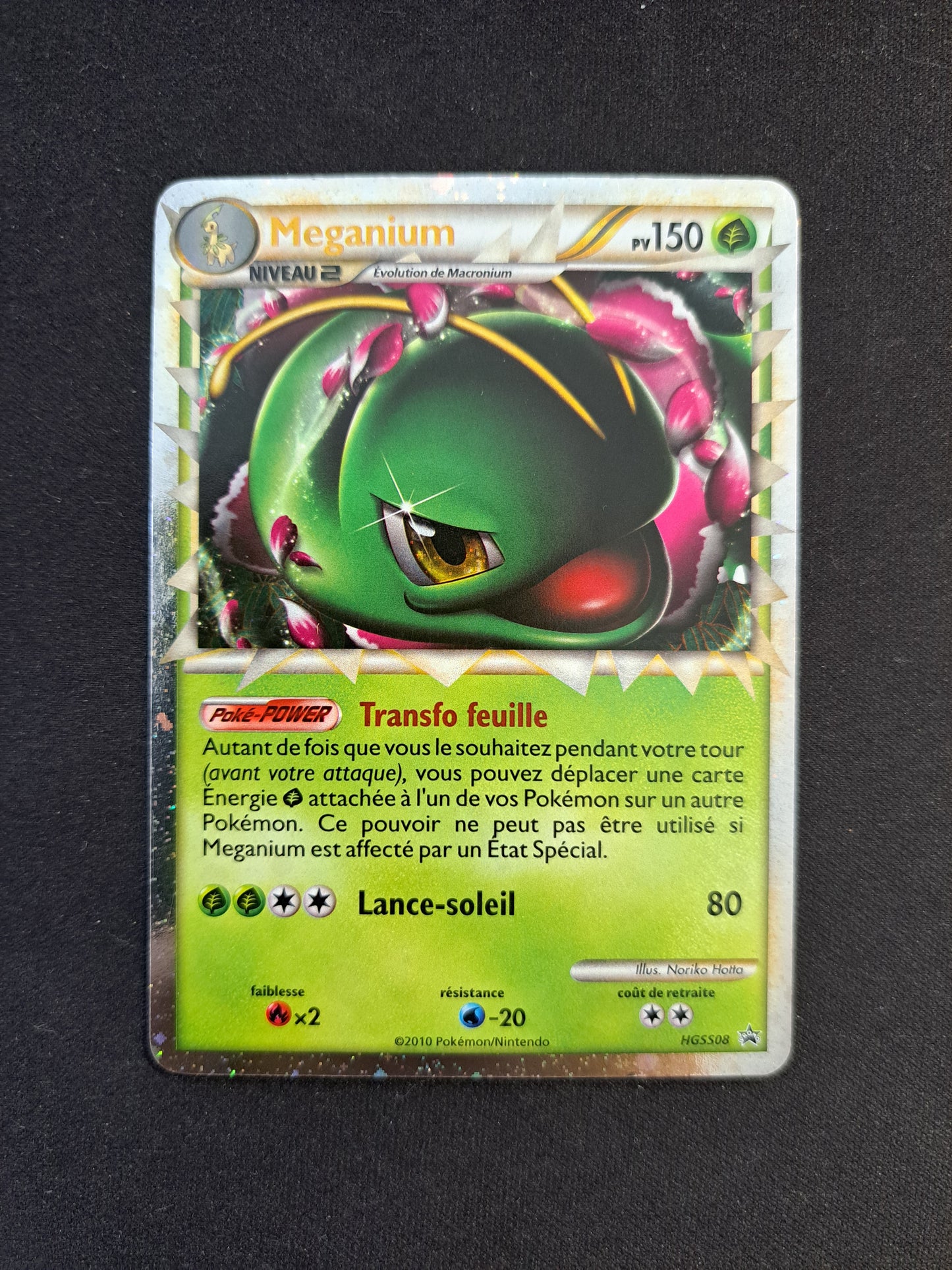 Méganium Hgss08