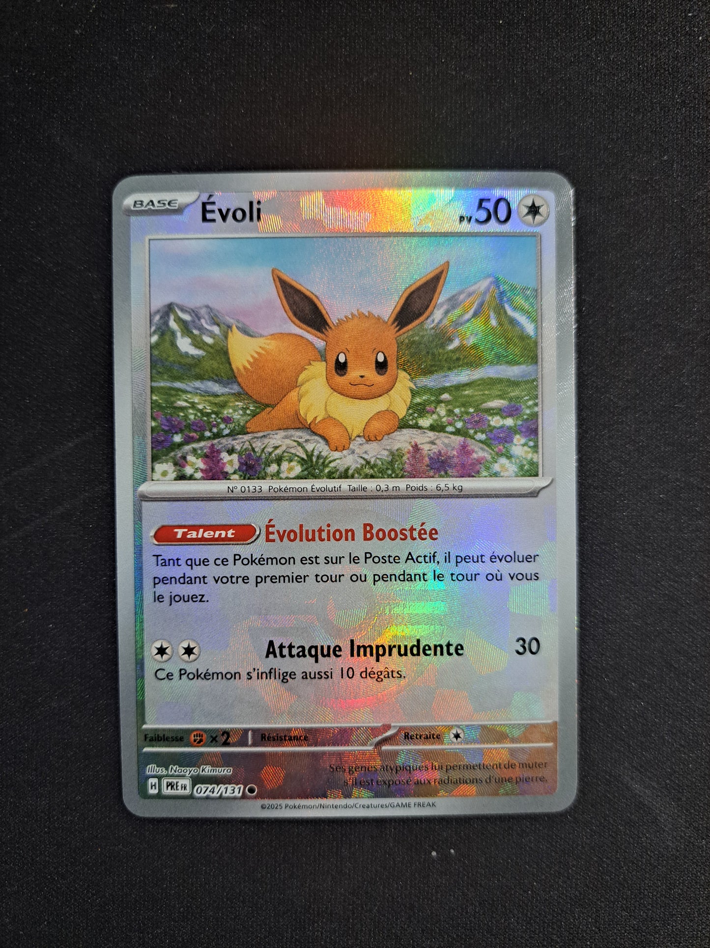 Evoli 074/131 POKEBALL