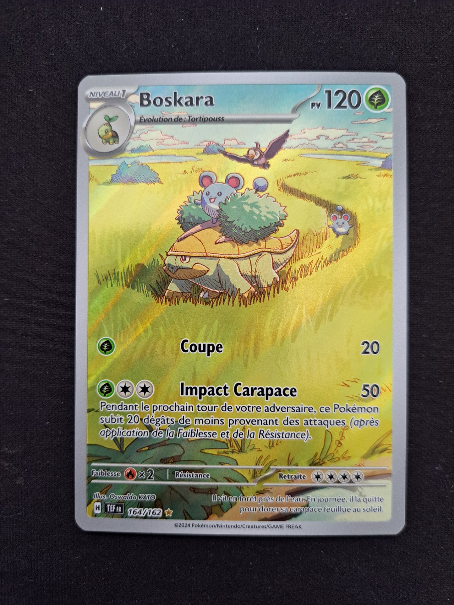 Boskara 164/162