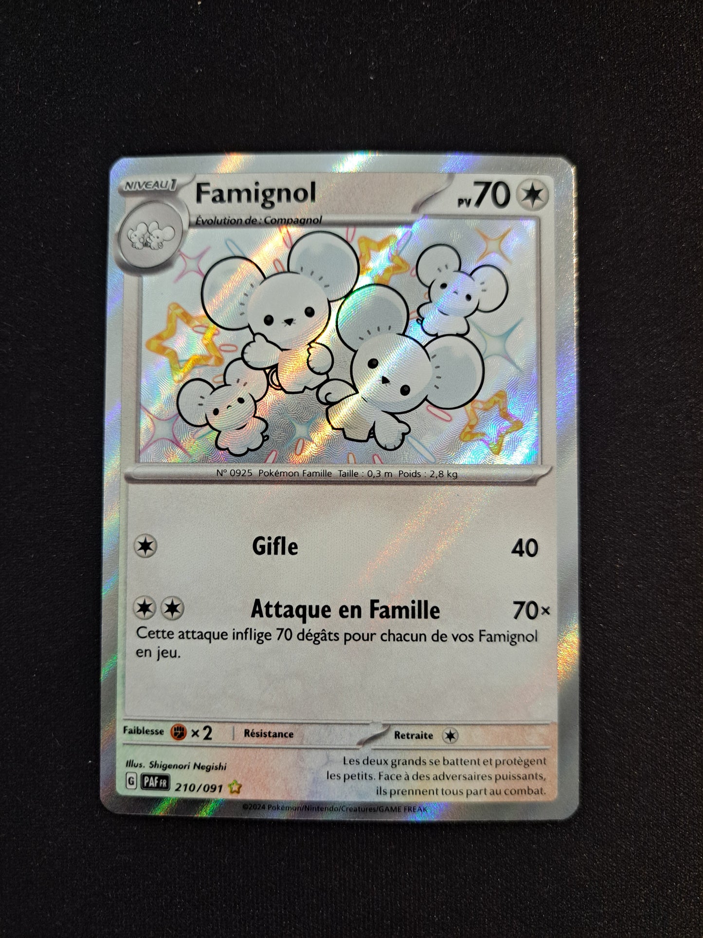 Famignol 210/091