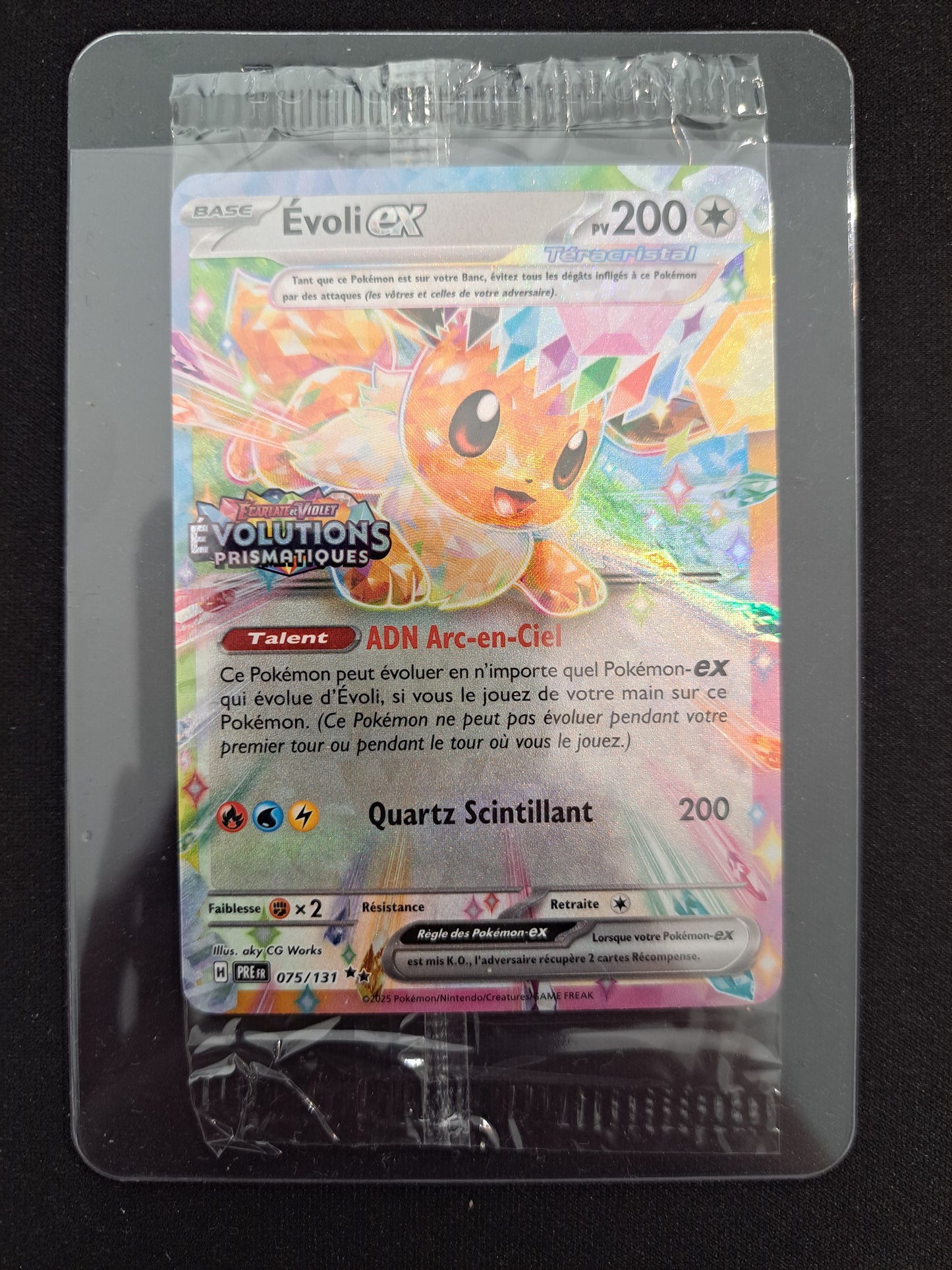 Evoli Ex 075/131