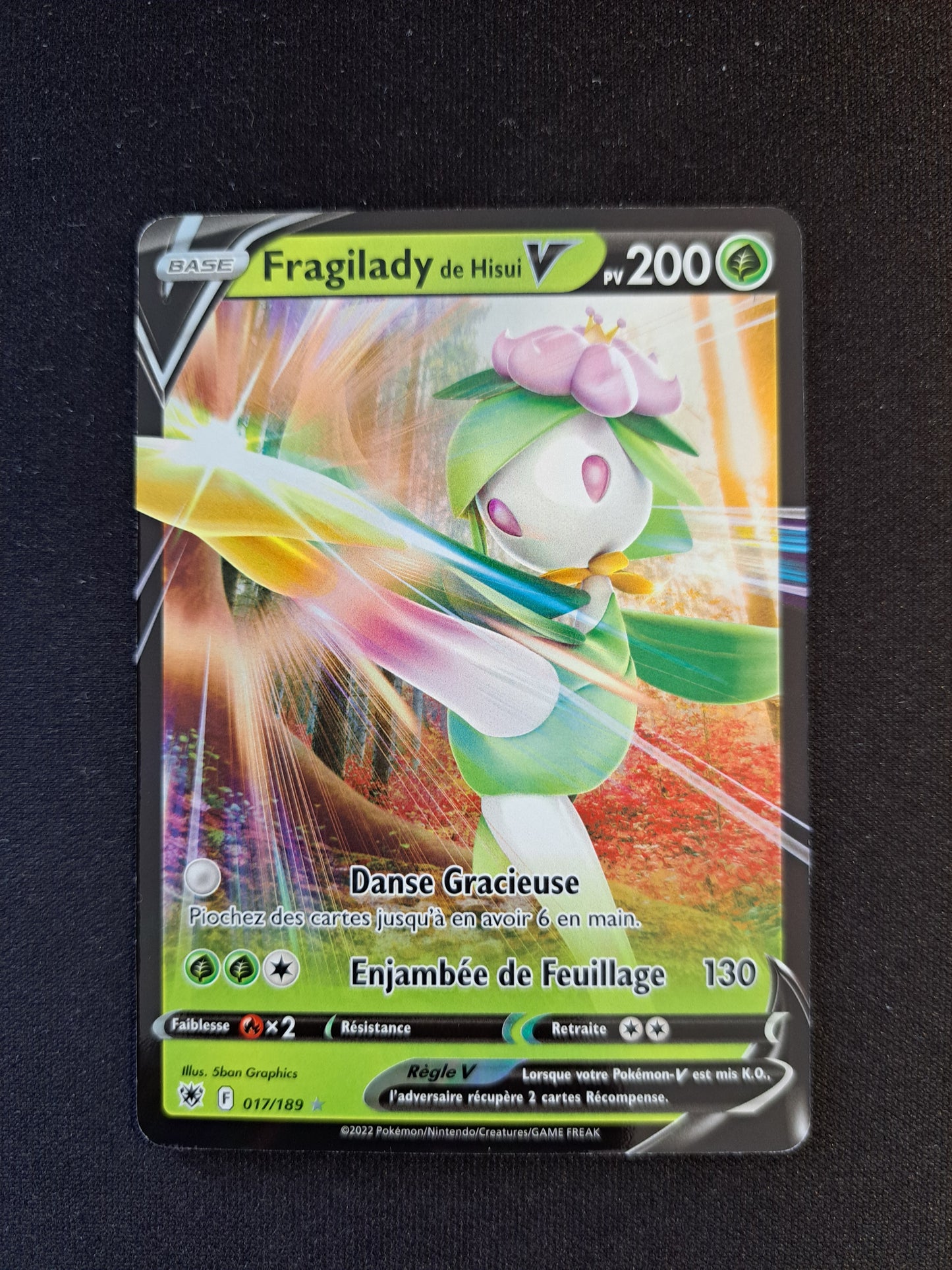 Fragilady V 017/189