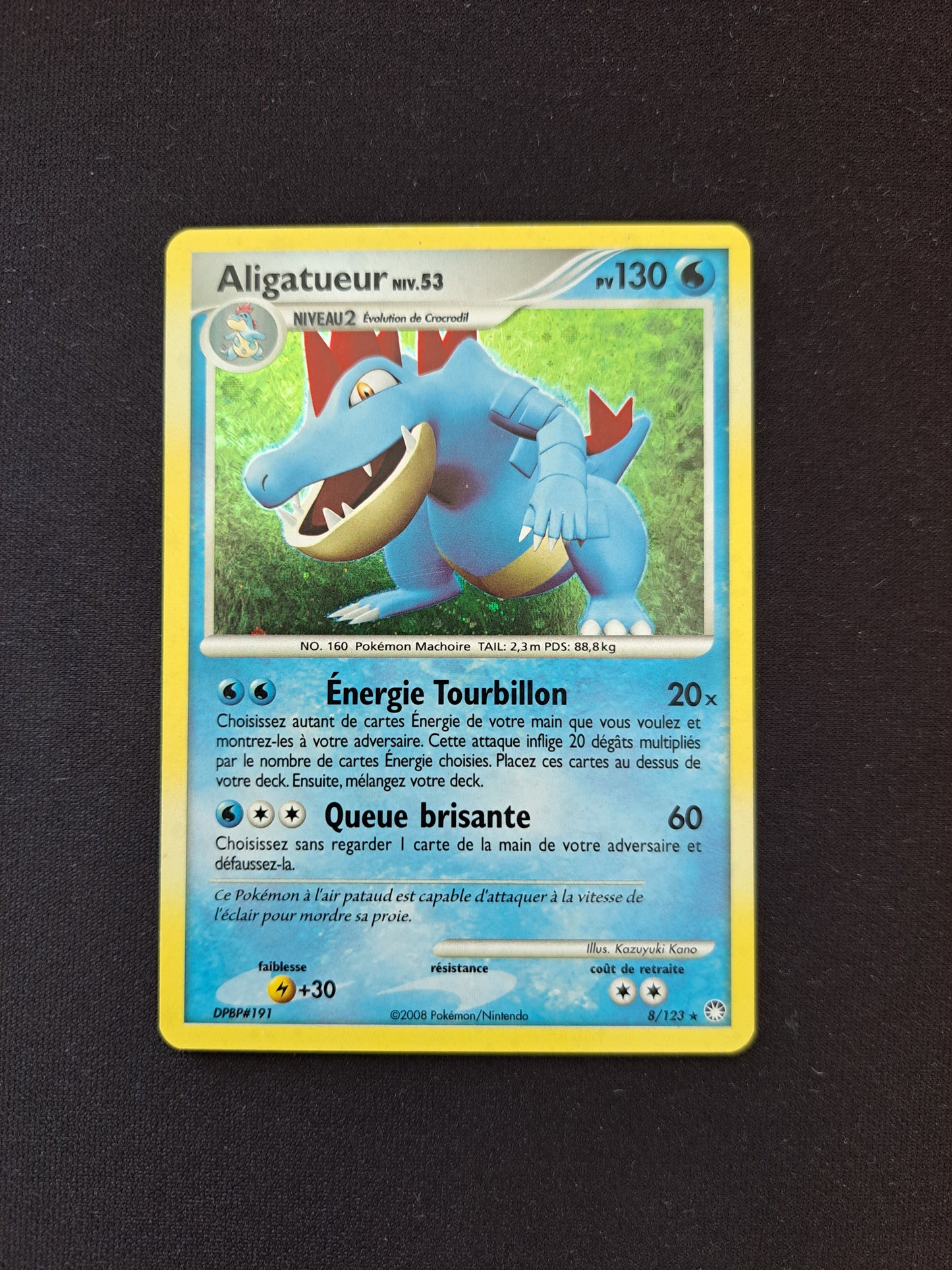 Aligatueur 8/123