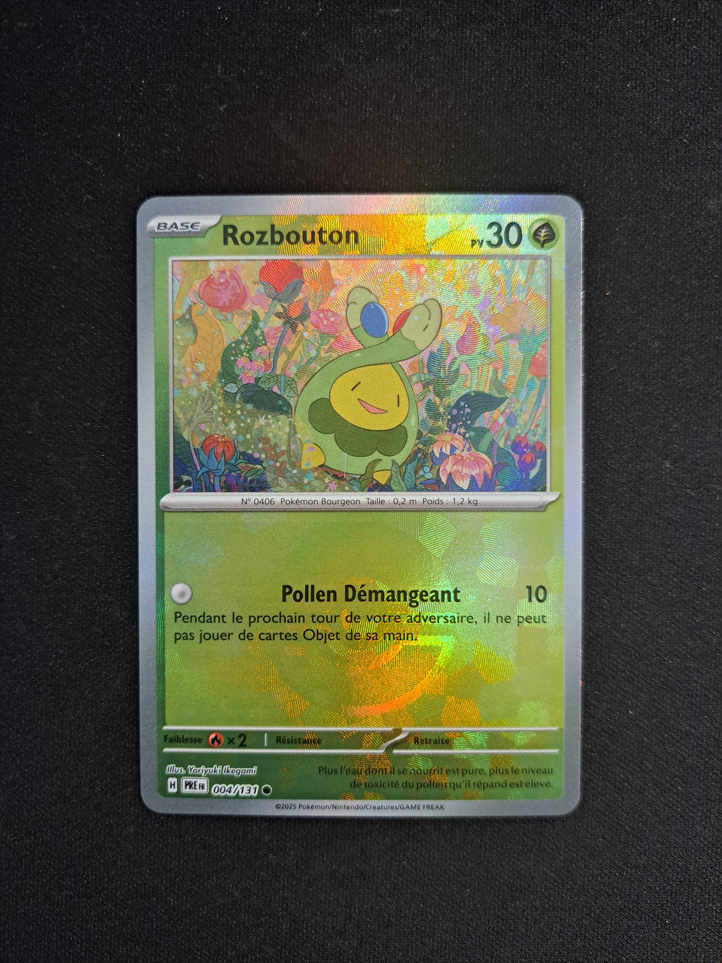 Rozbouton 004/131 POKEBALL