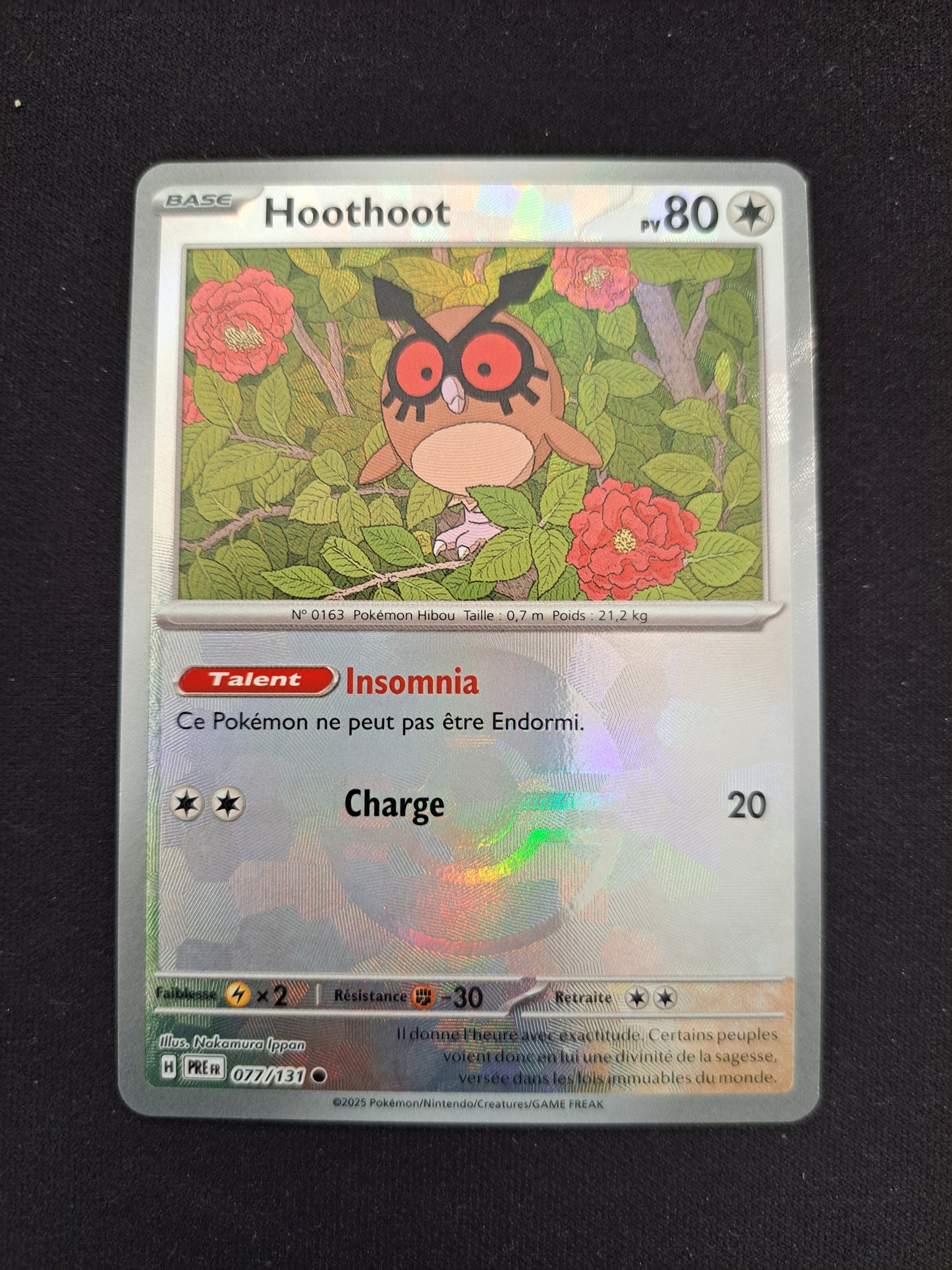 HootHoot 077/131 POKEBALL