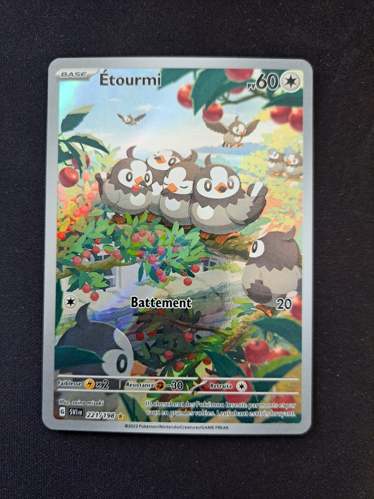 Etourmi 221/198