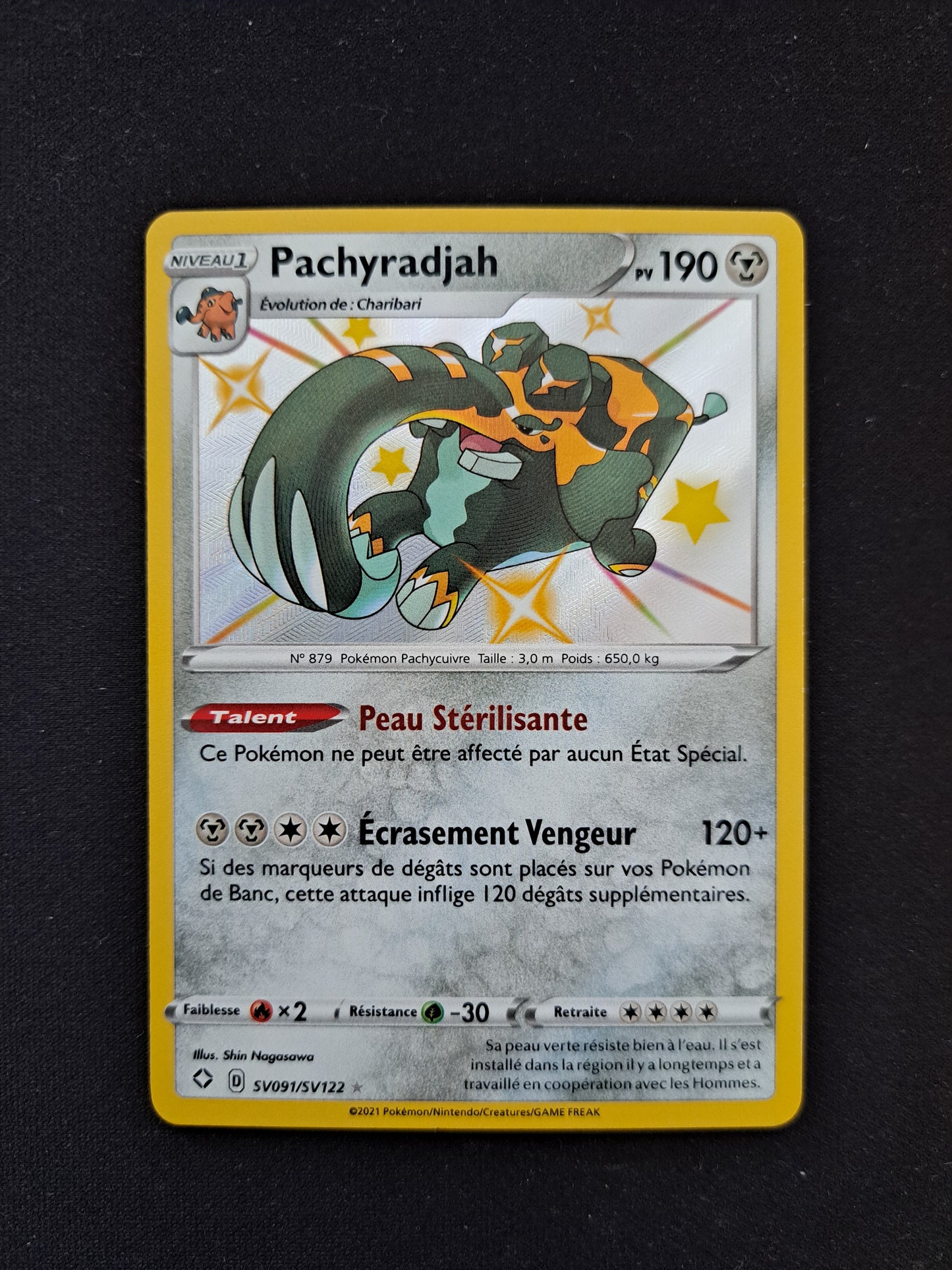 Pachyradjah Sv091/Sv122