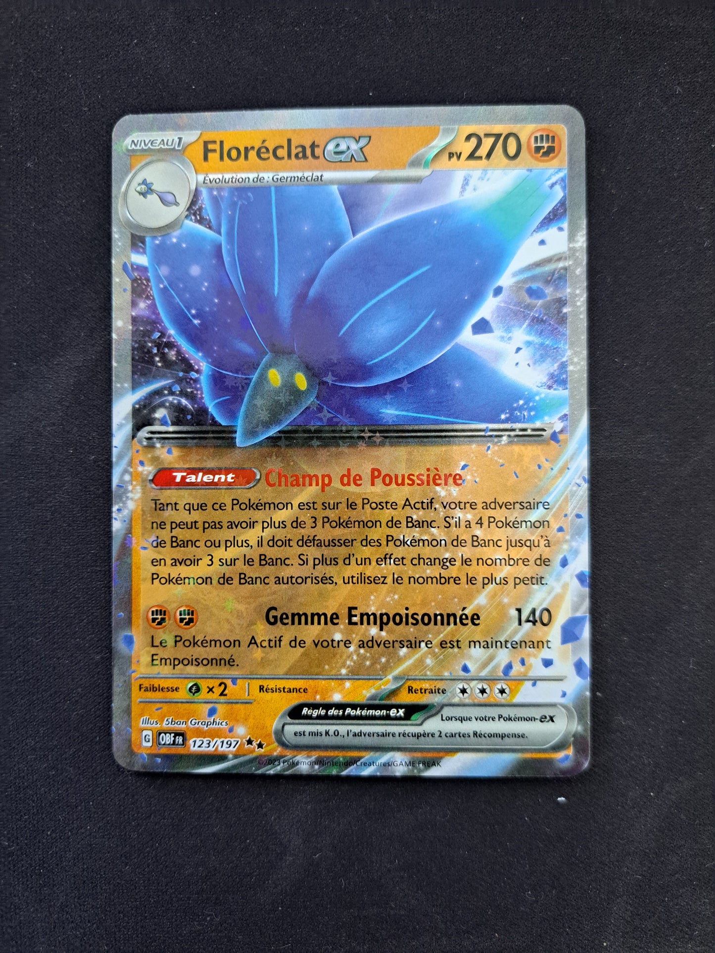 Floréclat Ex 123/197