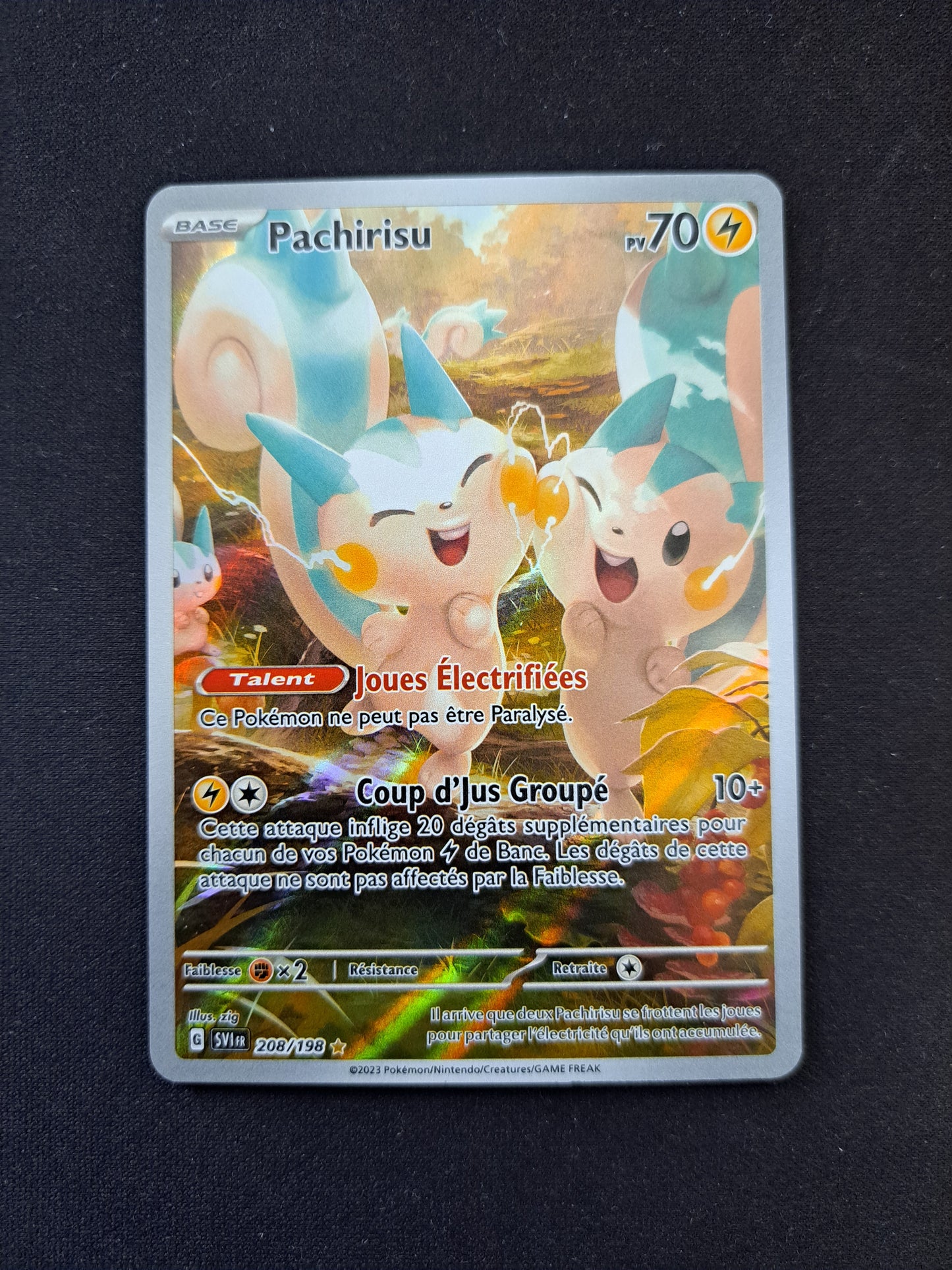 Pachirisu 208/198