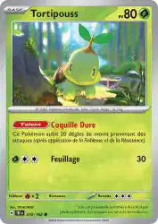 Tortipouss 10/162