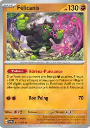 Félicanis 111/167