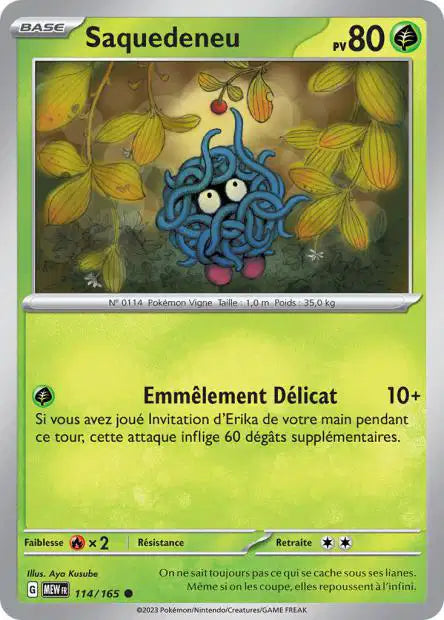 Saquedeneu 114/165