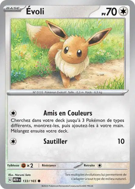 Evoli 133/165