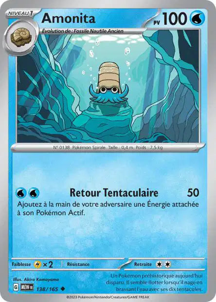 Amonita 138/165