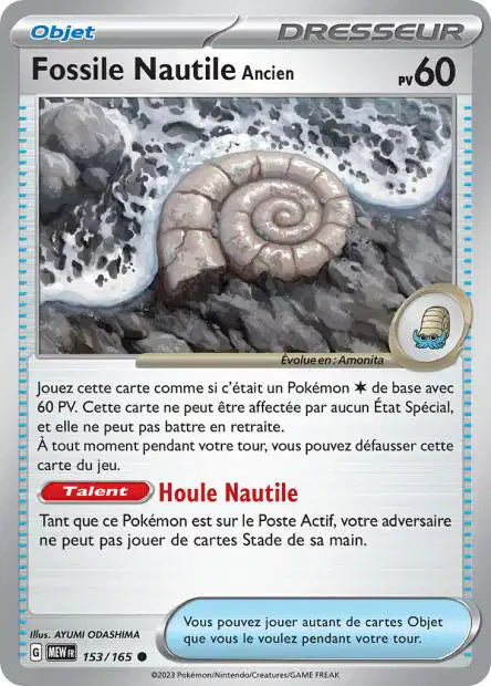 Fossile Nautile ancien 153/165