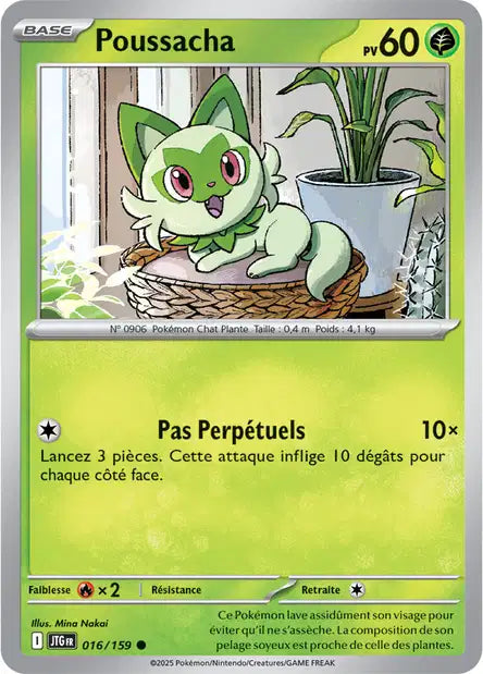 Poussacha 16/159