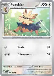 Ponchien 171/197