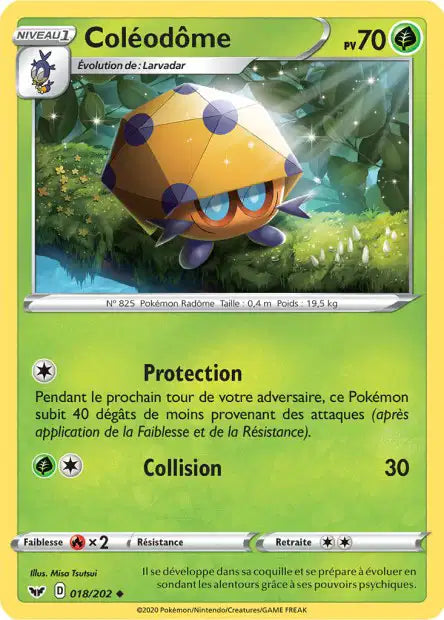 Coléodôme 18/202