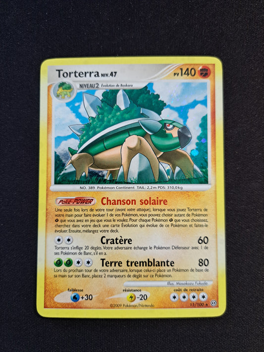 Torterra 11/100