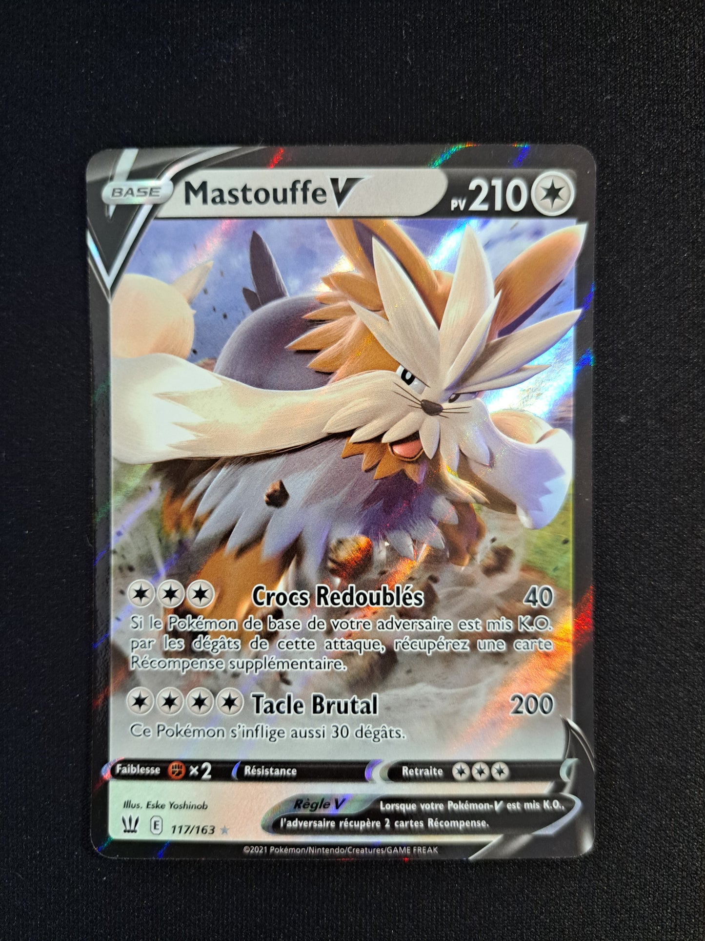 Mastouffe V 117/163