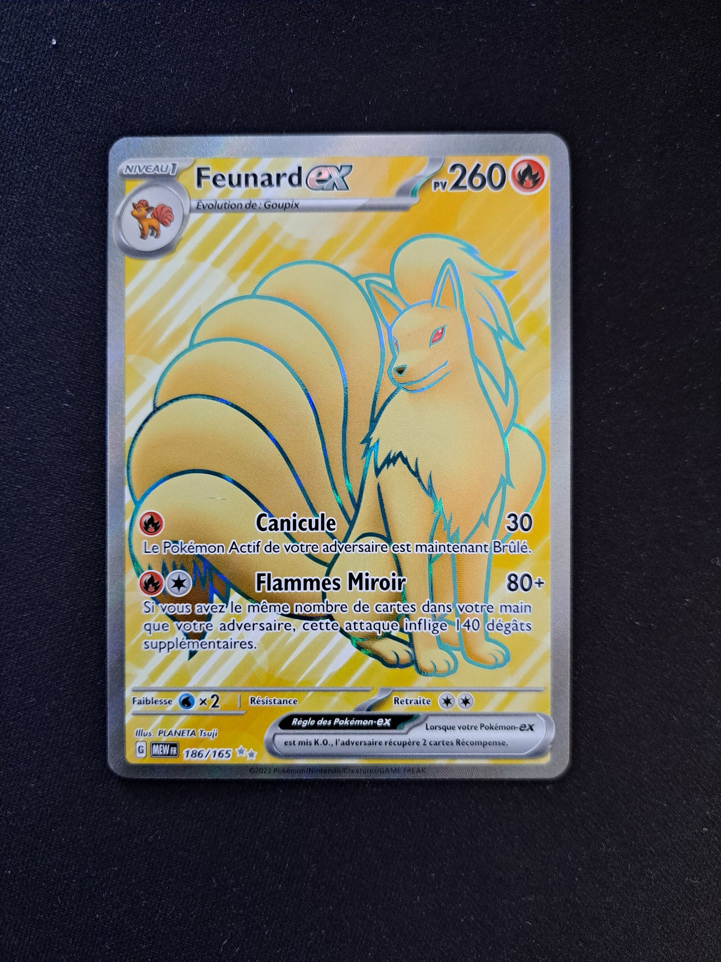 Feunard Ex 186/165