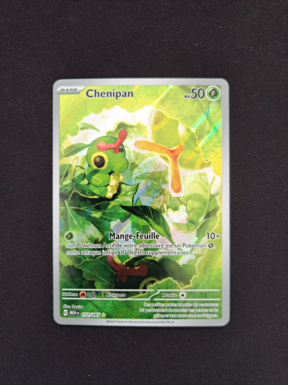 Chenipan 172/165