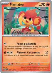 Flamajou 21/142