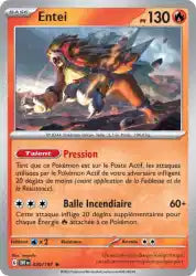 Entei 30/197