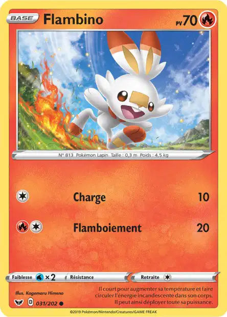 Flambino 31/202