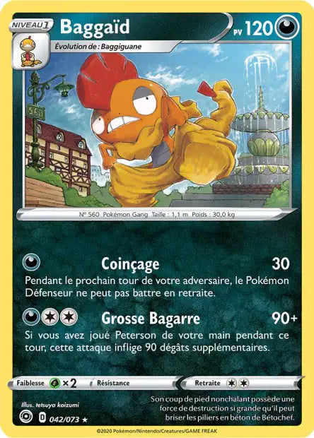Baggaid 42/73