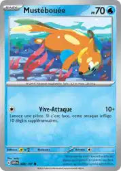 Mustébouée 48/197