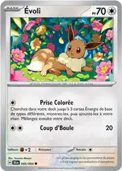 Evoli 50/64