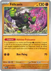 Félicanis 57/131