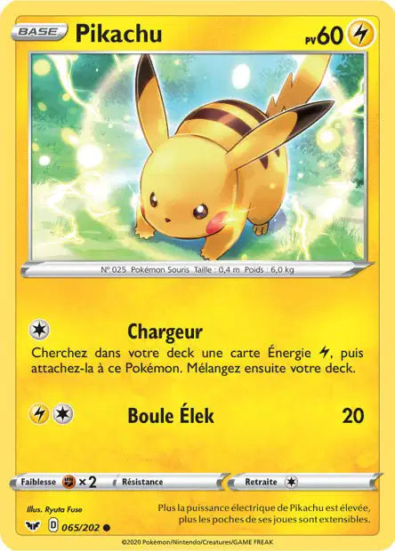 Pikachu 65/202