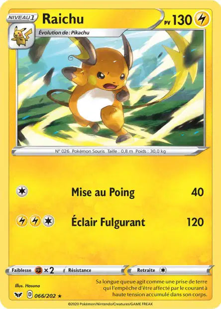 Raichu 66/202