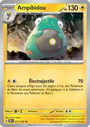 Ampibidou 77/197