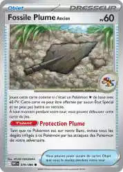Fossile Plume Ancien 79/86