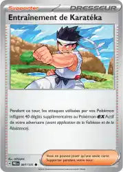 Entraînement de Karatéka 97/131