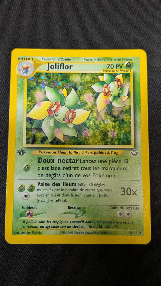Joliflor Edition 1 3/111