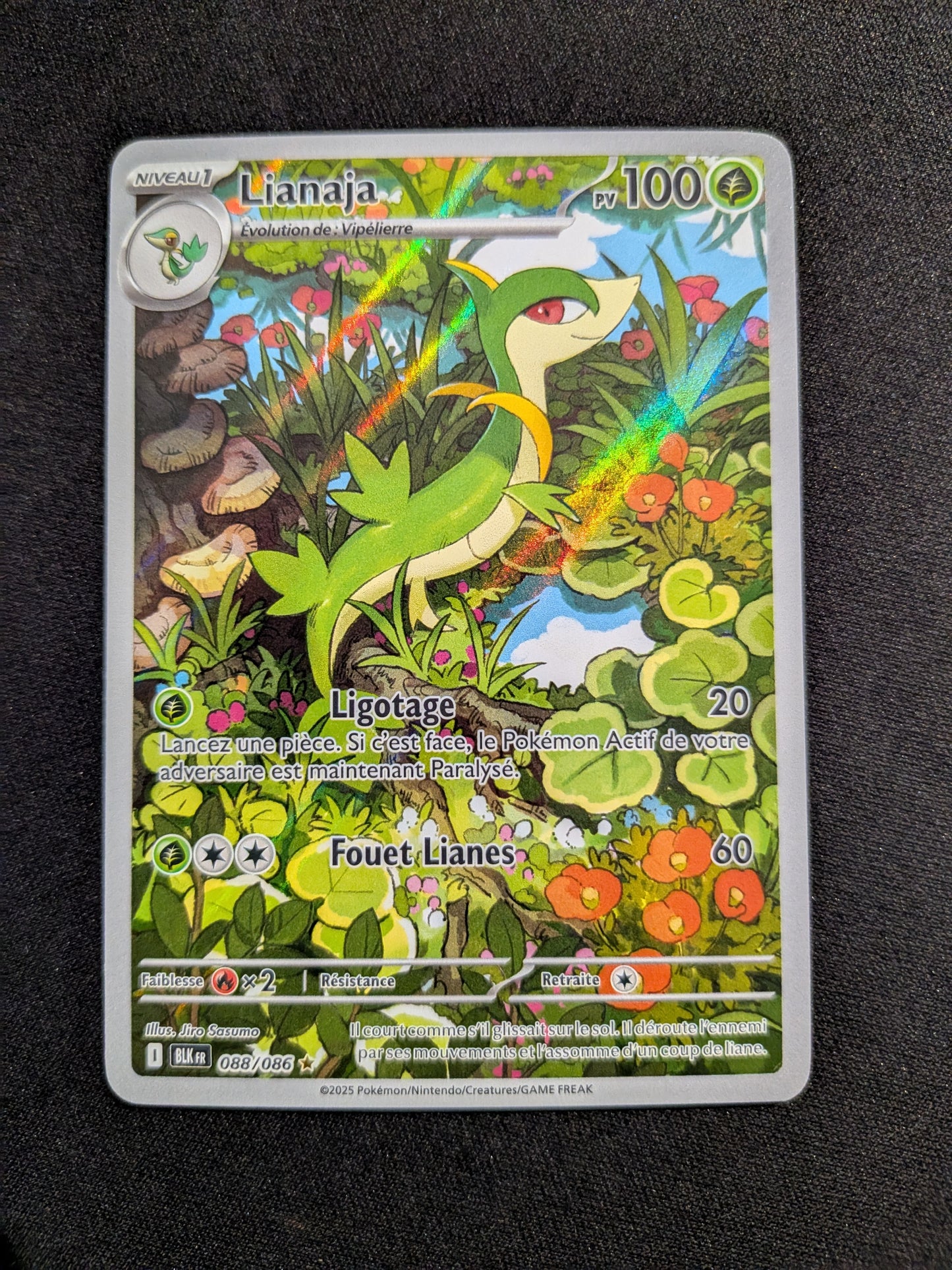 Lianaja 088/086