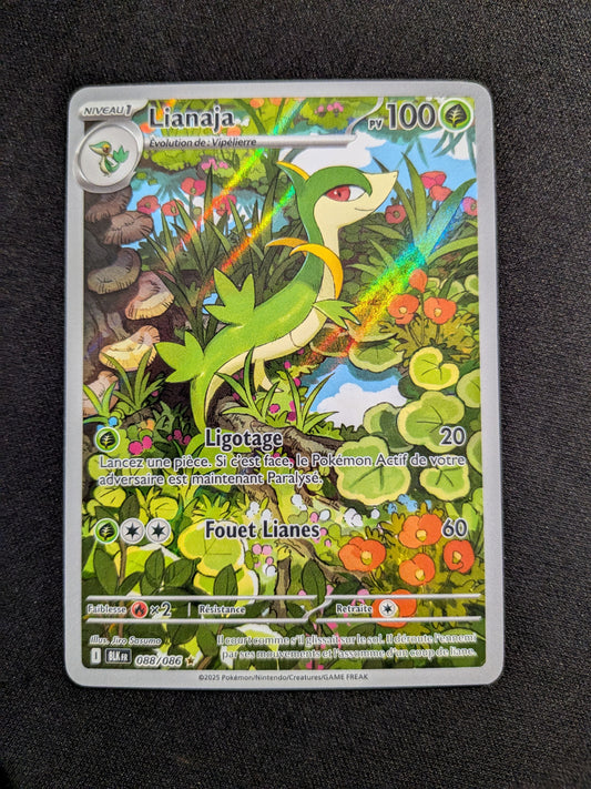 Lianaja 088/086