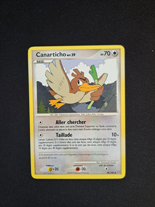 Canarticho 38/100