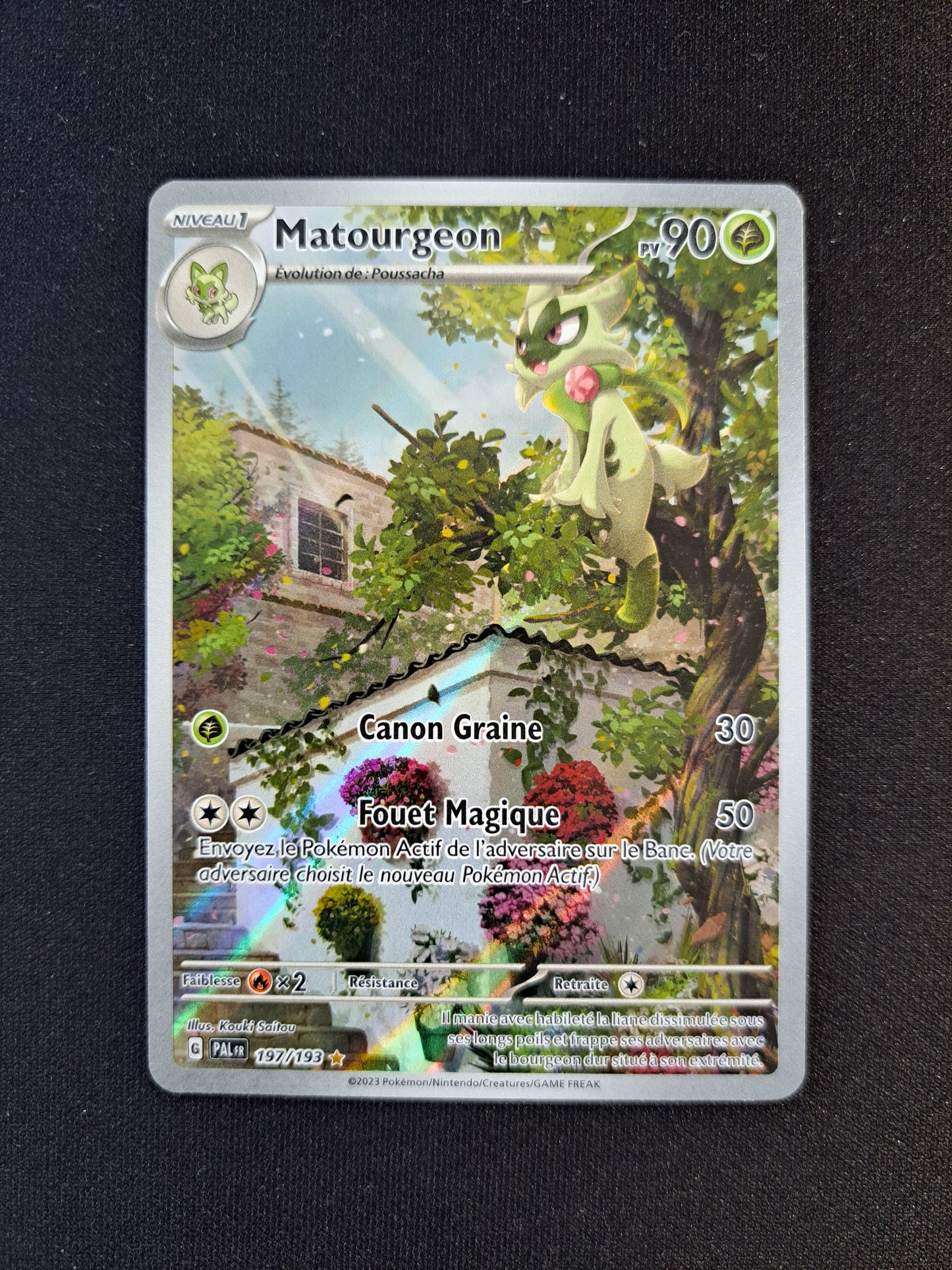 Matourgeon 197/193