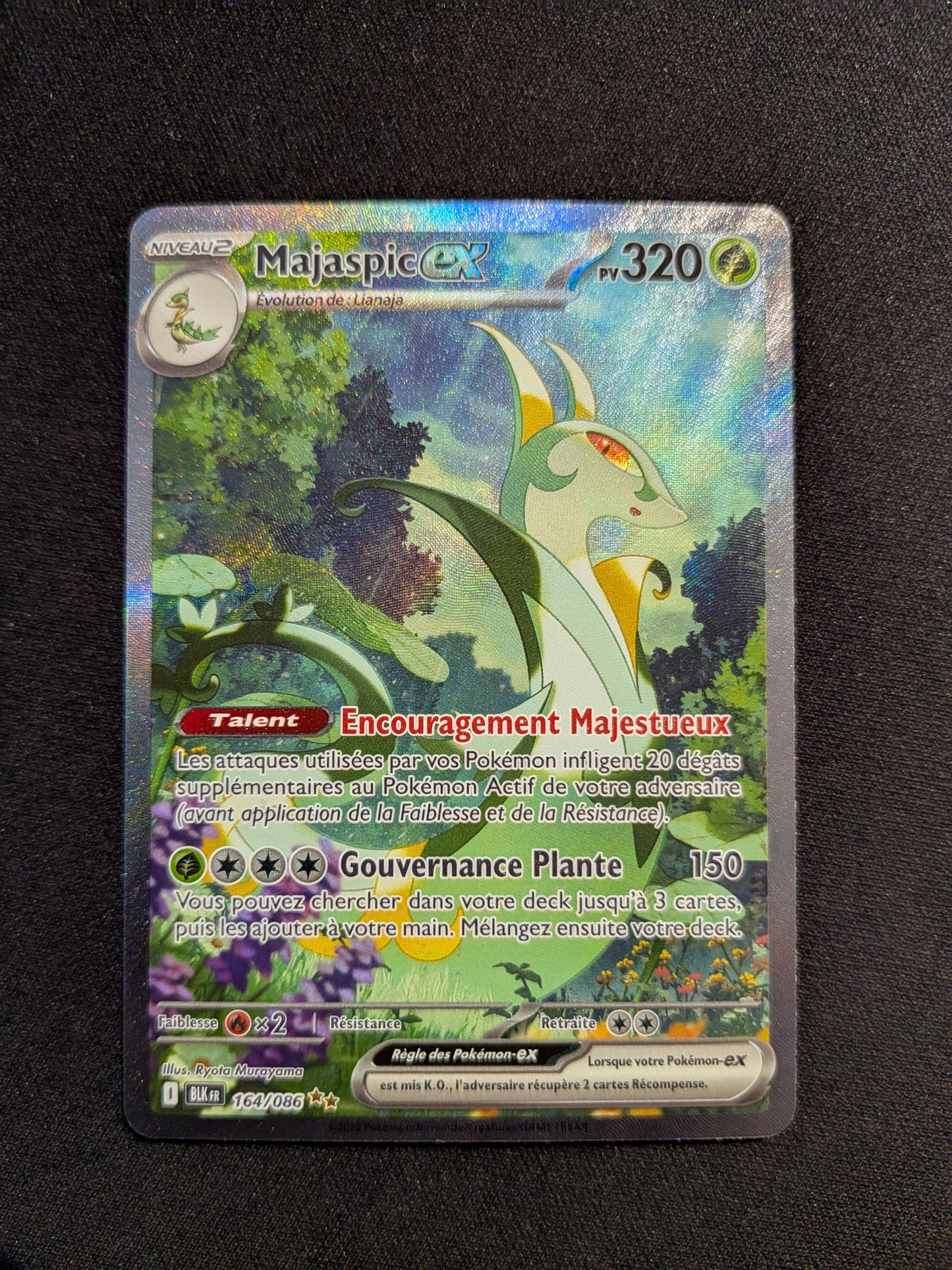 Majaspic Ex 164/086