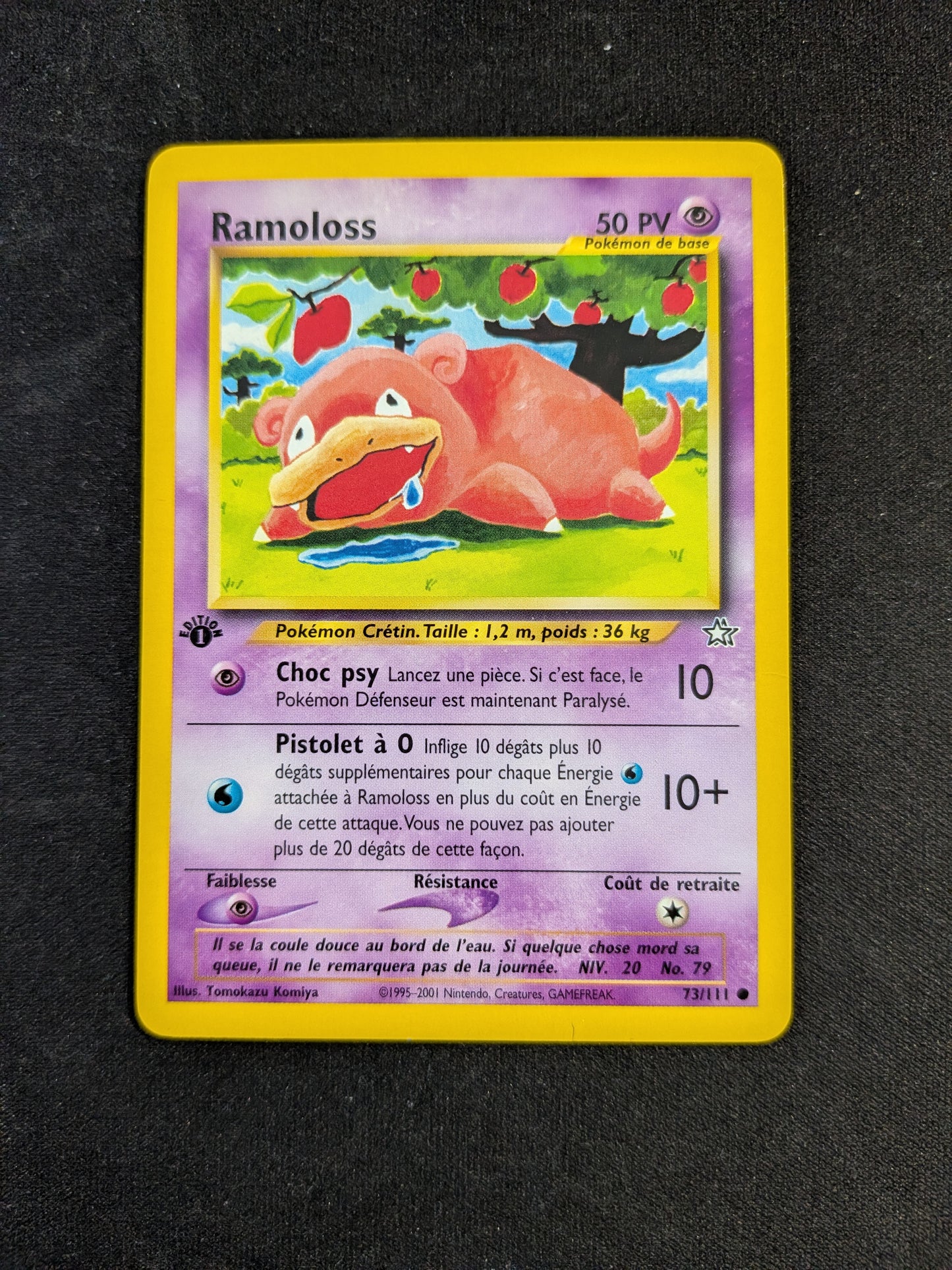 Ramoloss ED 1 73/111