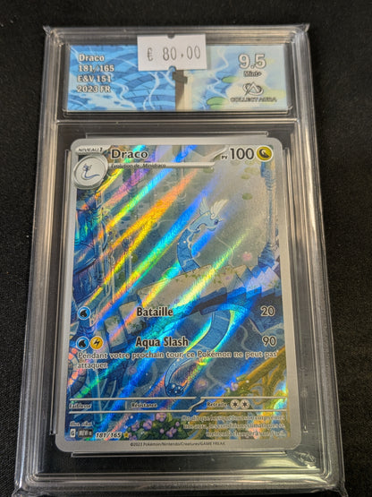 Draco 181/165 CA 9.5